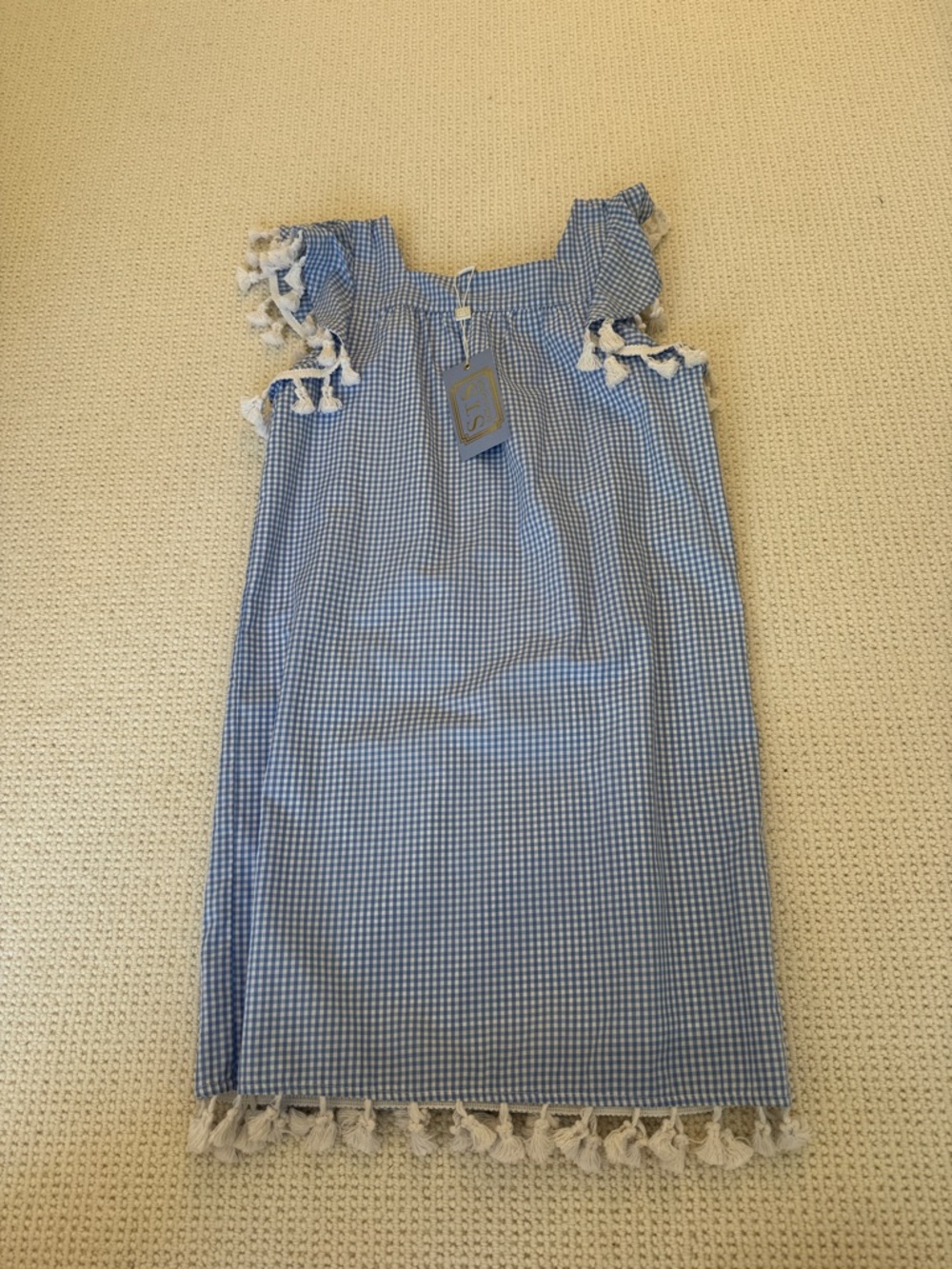 Sail to Sable Blue Gingham Tassel Shift Dress